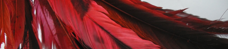 RedFeather: Light and Fluffy&nbsp;OER